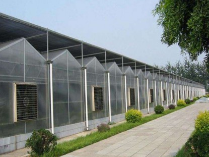 紋絡陽光板溫室