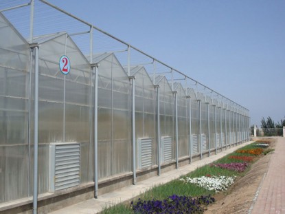 紋絡陽光板溫室