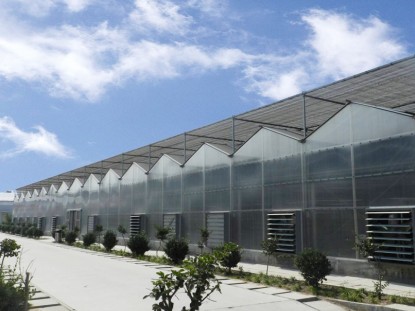 紋絡陽光板溫室