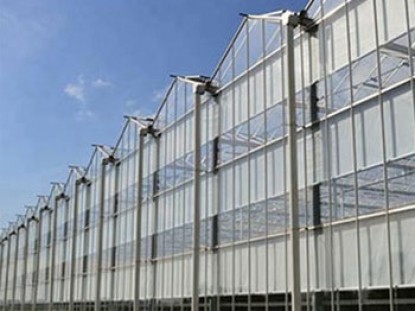 紋絡陽光板溫室