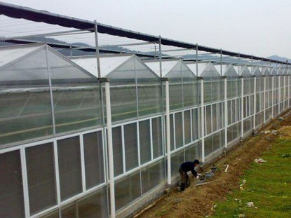 紋絡陽光板溫室