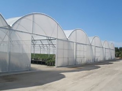 連棟薄膜溫室