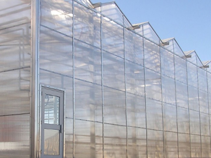 紋絡陽光板溫室