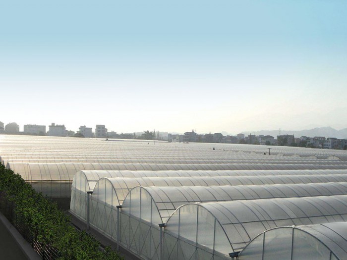 單棟薄膜溫室